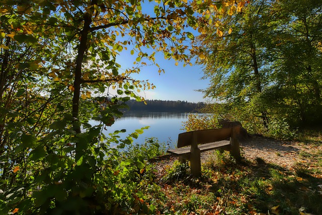 的搭档问题 的搭档问题