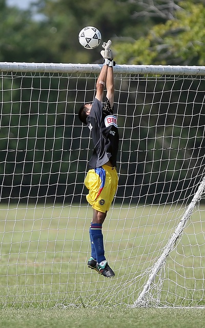 更多值得期 更多值得期