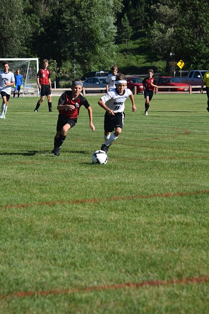 敢打敢拼的 敢打敢拼的