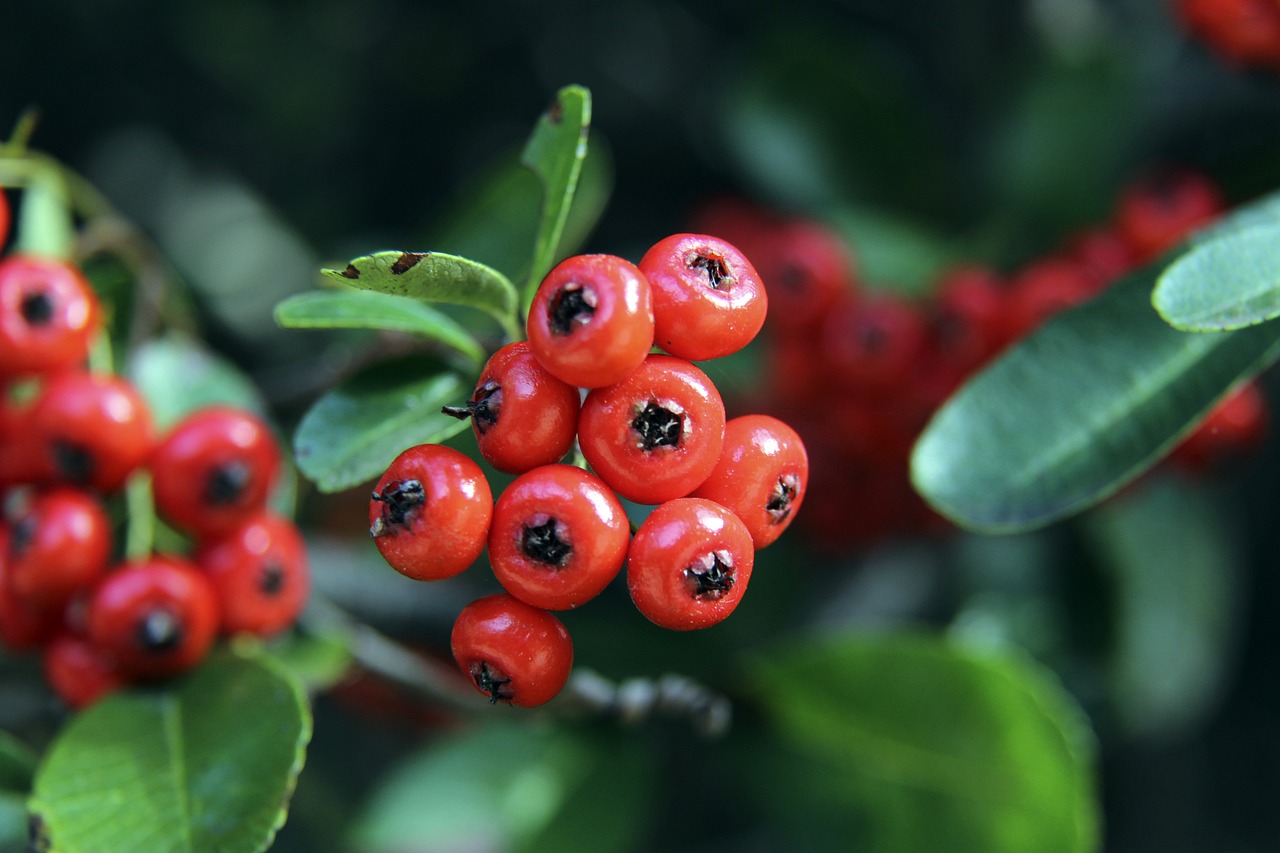 总的来说 总的来说