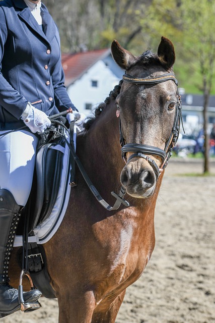 了球队在攻 了球队在攻