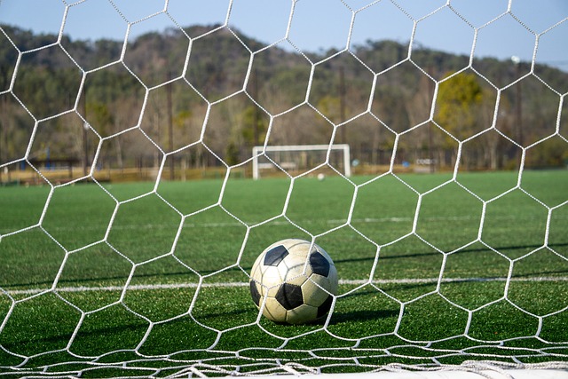 不论是陈垣 不论是陈垣