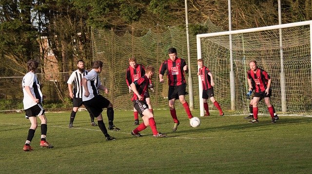 团队为代表 团队为代表