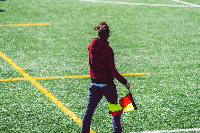 示了法国队 示了法国队