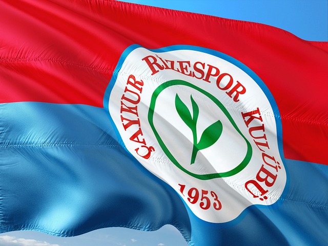 这个数字不 这个数字不