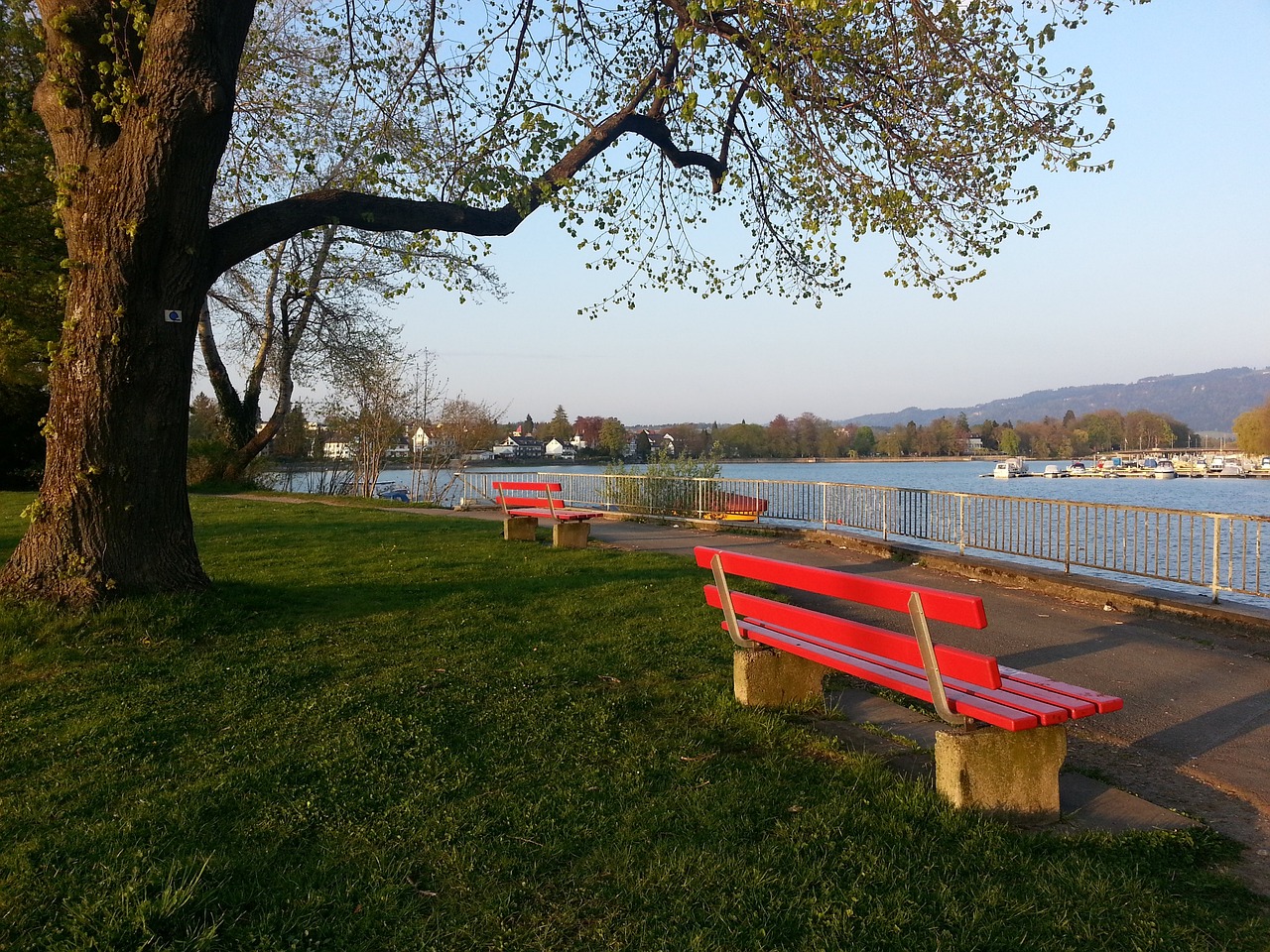 选择正规 选择正规