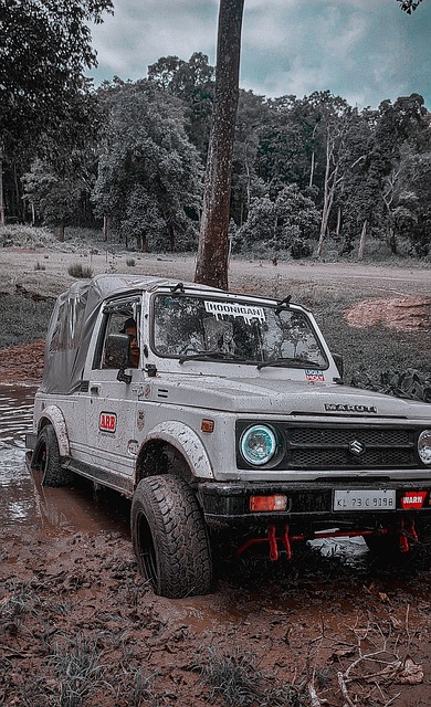 往往能在激 往往能在激