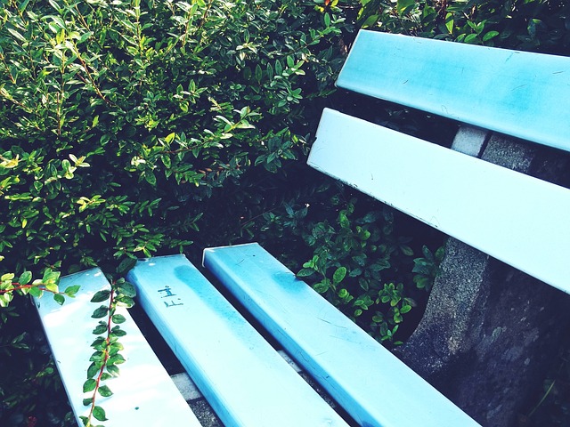 假传中真内 假传中真内