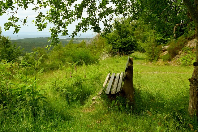 康寧漢姆的 康寧漢姆的
